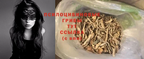 тгк Бородино