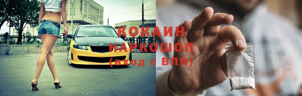 тгк Бородино
