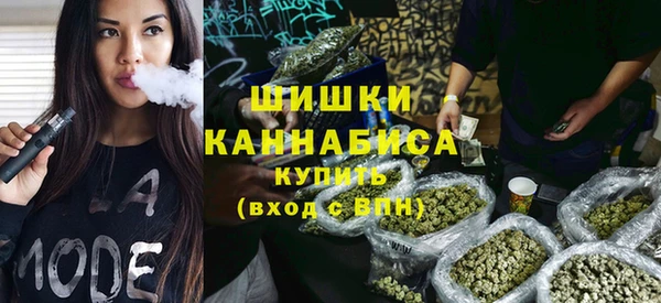тгк Бородино