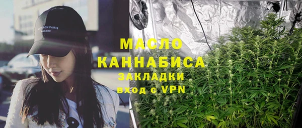 тгк Бородино