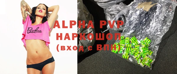 тгк Бородино