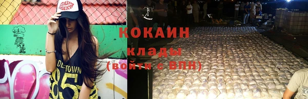 гашиш Богданович